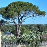 Citta Felice Scicli