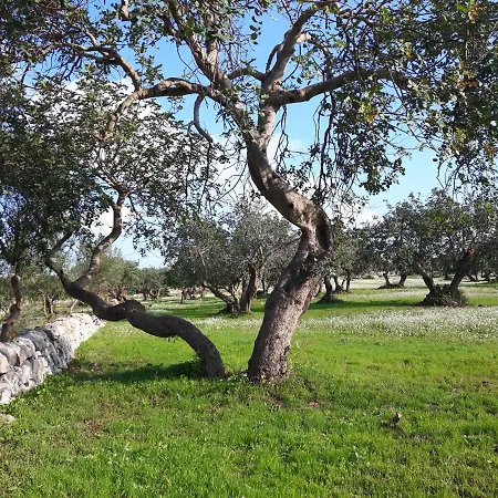 Citta Felice Σπίτι διακοπών