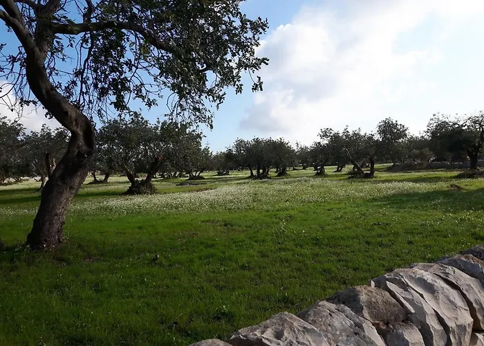 Citta Felice Vakantiehuis