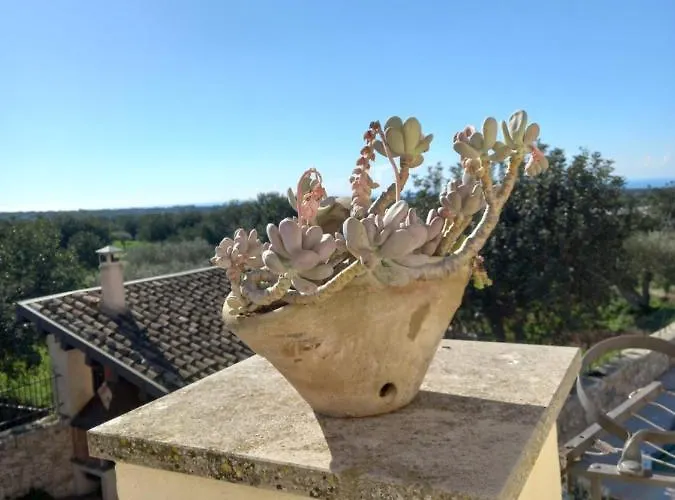 Citta Felice * Scicli